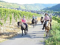 Routenvorschläge für Hunsrück zu Pferd